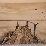 Seenaah Auf Der Insel Nr 8