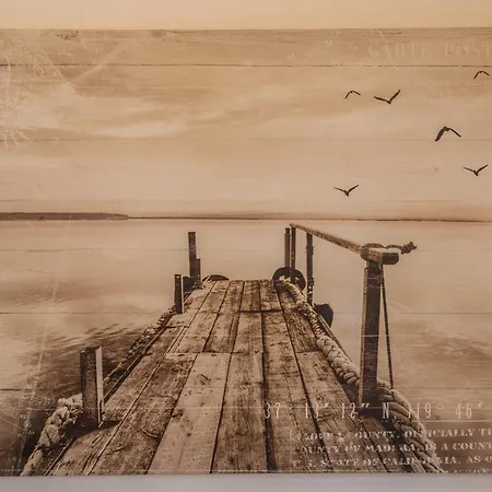Seenaah Auf Der Insel Nr 8
