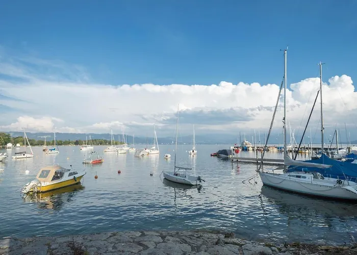 Seenaah Auf Der Insel Nr 8