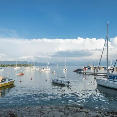 Seenaah Auf Der Insel Lindau Nr 8